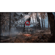 Sony PlayStation 4 - God of War PS Hits