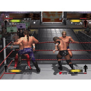 Nintendo GameCube - WWE Day of Reckoning