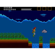 Sega Master Sytem - Lord of the Sword