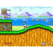 Sega Mega Drive - Tiny Toon Adventures: Buster's Hidden Treasure