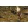 Sony PlayStation 4 - GreedFall - mit OVP