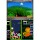 Nintendo DS - Tetris DS - mit OVP