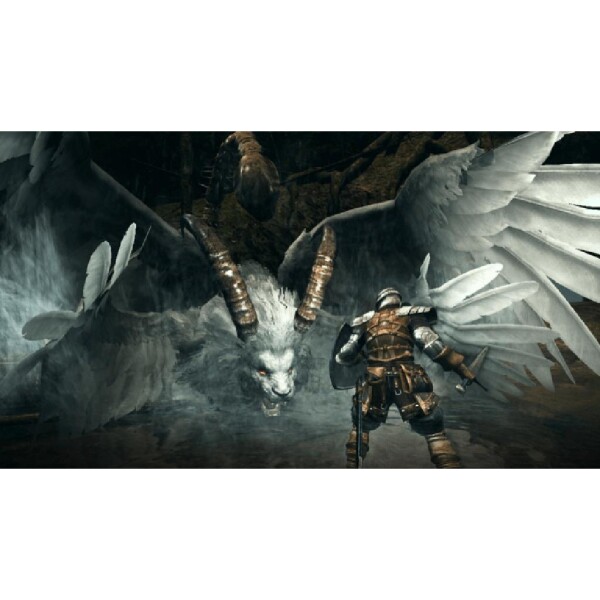 Sony PlayStation 3 - Dark Souls: Prepare to Die Edition - mit OVP