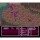 Nintendo SNES - Breath of Fire II - nur Modul
