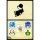 Nintendo DS - Big Brain Academy - nur Modul