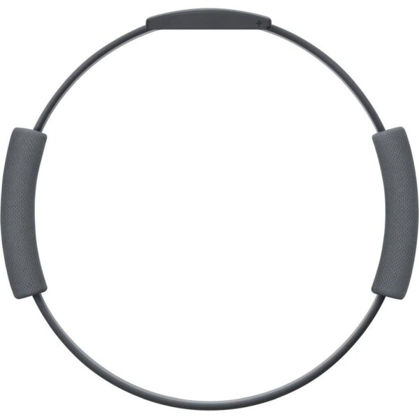 Nintendo Switch - Ring Fit Adventure - Ring-Con und Beingurt
