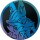 Pokemon - Mega-Entwicklung: Mega-Lucario Top-Trainer-Box - DE
