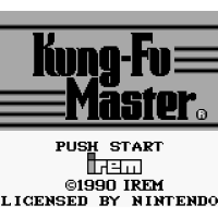 Nintendo Game Boy - Kung Fu Master - mit OVP